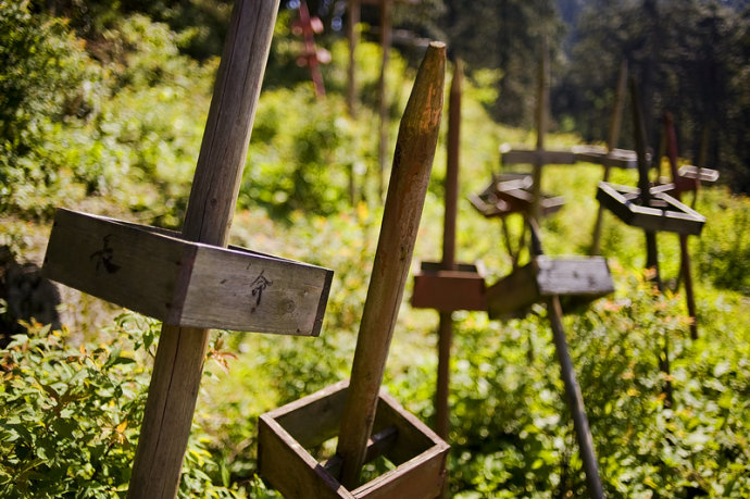 �����Աߵ���Щľ������������ϵ�ף��